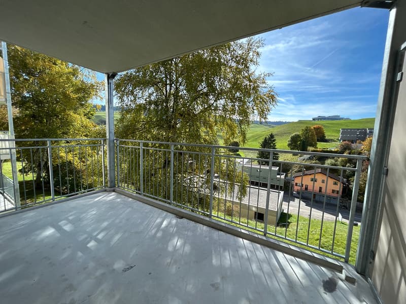 Charming 3.5-room apartment with balcony in Le Locle (10)