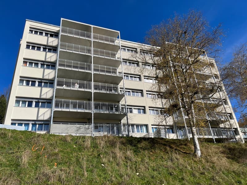 Charming 3.5-room apartment with balcony in Le Locle (11)