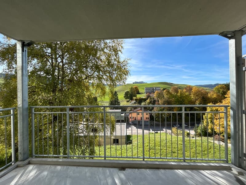 Charming 3.5-room apartment with balcony in Le Locle (9)
