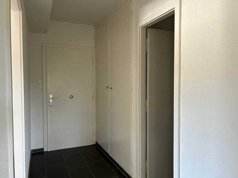 Charmant 2,5 pièces avec vue imprenable et 1er loyer net offert ! (10)