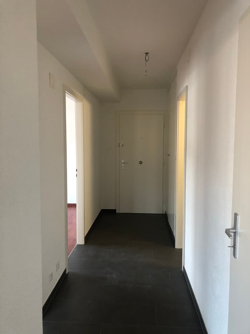 Charming 2.5-room apartment with breathtaking view and 1st net rent offered! (4)