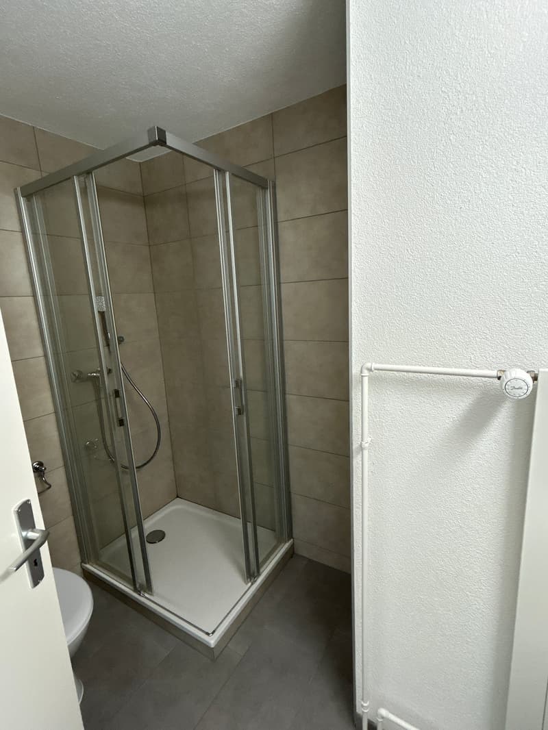Magnifique appartement 3.5 pièces avec balcons et belle vue au Locle - 1er loyer net offert (8)