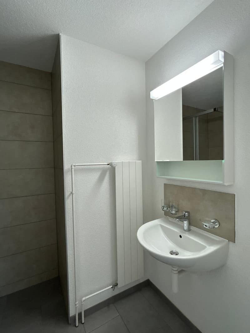 Magnifique appartement 3.5 pièces avec balcons et belle vue au Locle - 1er loyer net offert (9)