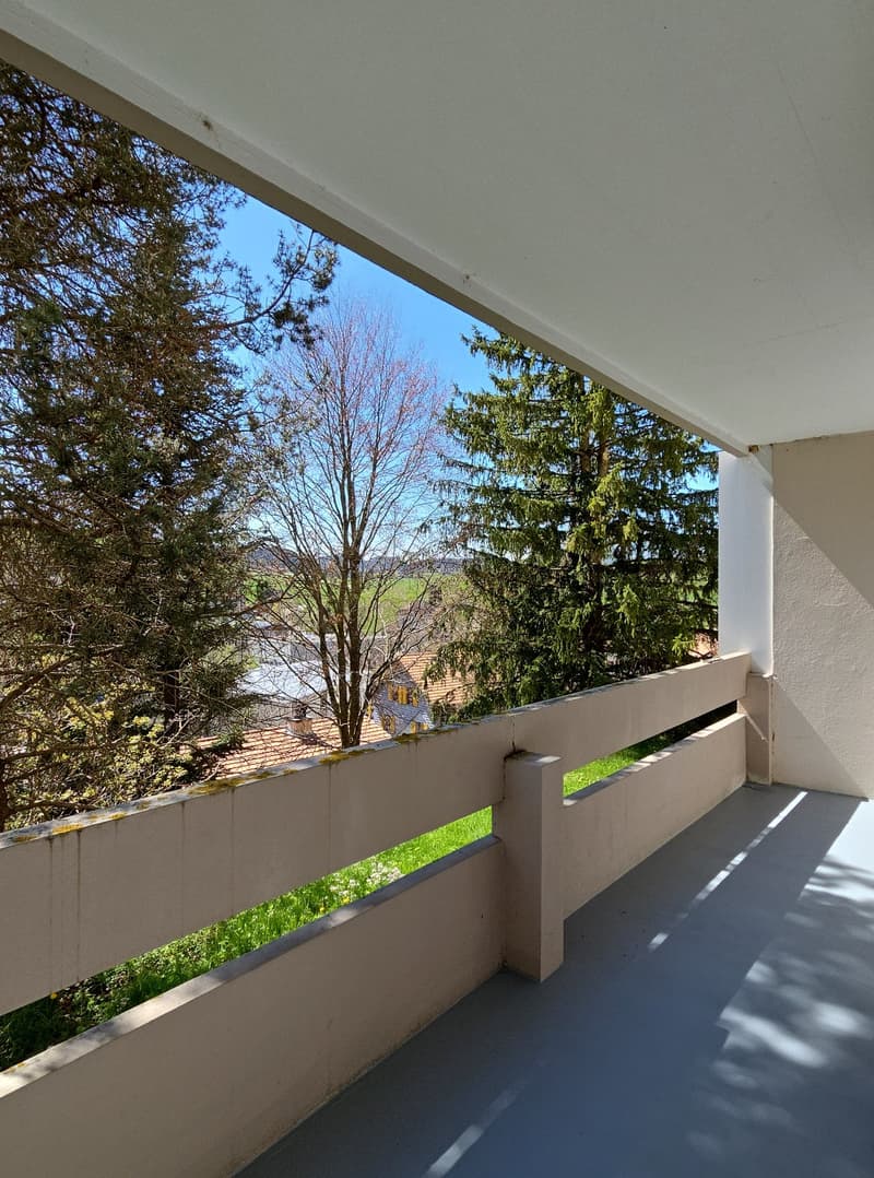 Magnificent 3.5-room apartment with balcony and panoramic view in Le Locle (2)