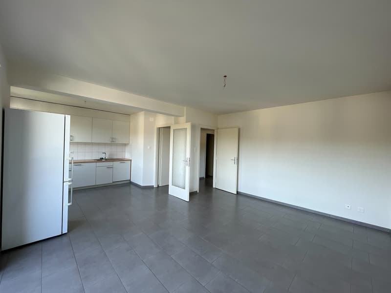 Incantevole appartamento di 2,5 locali con vista impareggiabile e 1° affitto netto offerto gratuitamente! (3)