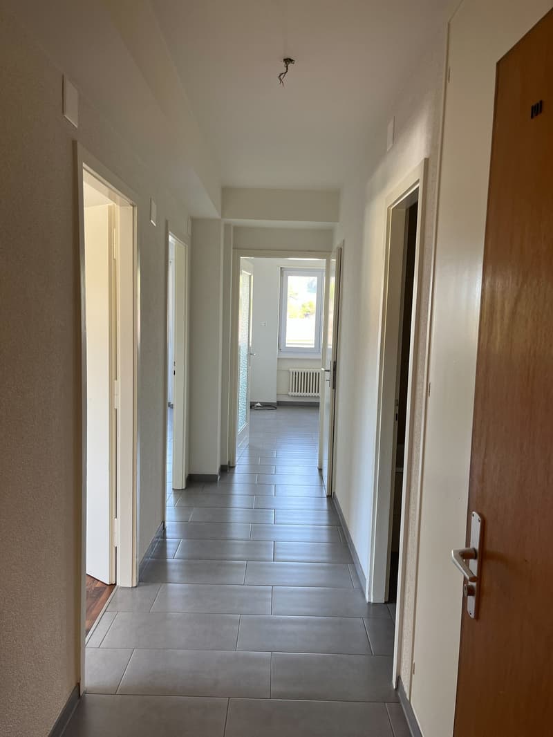 Incantevole appartamento di 2,5 locali con vista impareggiabile e 1° affitto netto offerto gratuitamente! (4)