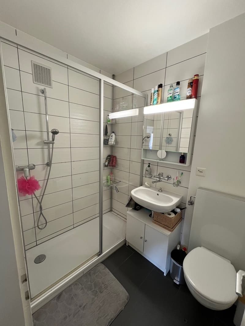 Helles 3.5-Zimmer-Wohnung mit Balkon (8)