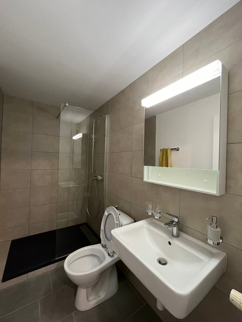 Prächtige 3.5-Zimmer-Wohnung - Erster Nettomietzins kostenlos! (7)