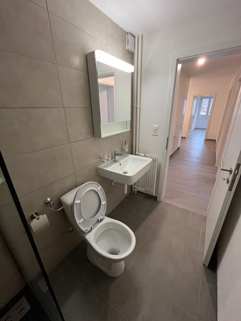 Prächtige 3.5-Zimmer-Wohnung - Erster Nettomietzins kostenlos! (8)