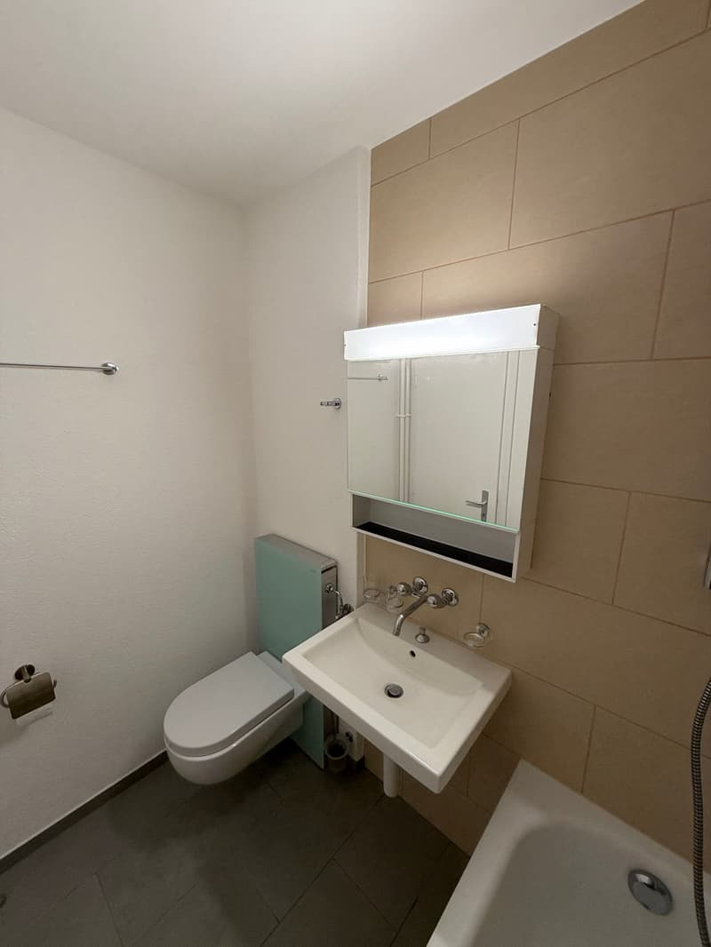 Appartement lumineux de 3.5 pièces avec balcon (5)
