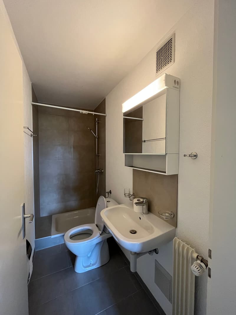 Charmant appartement de 1.5 pièces avec balcon au 6ème étage (5)