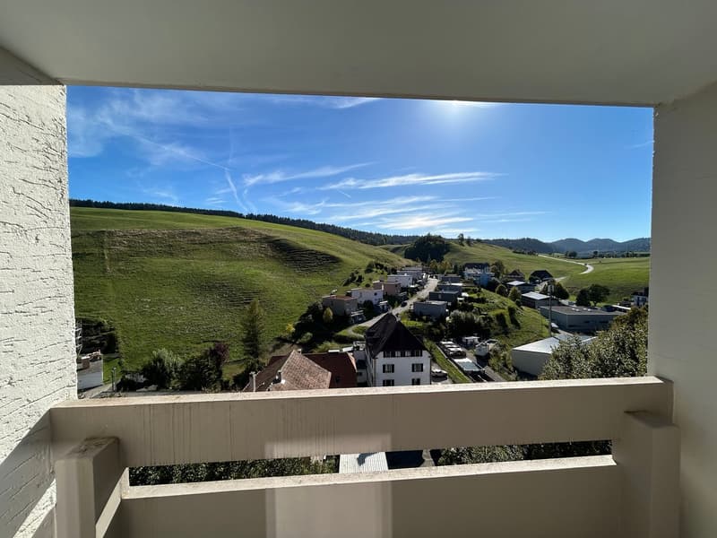 Appartement rénové de 3.5 pièces avec vue et balcons (4)