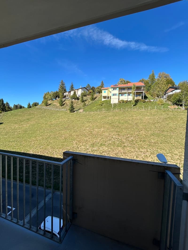 Appartement rénové de 3.5 pièces avec vue et balcons (5)