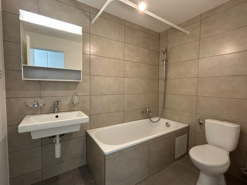 Appartement rénové de 3.5 pièces avec vue et balcons (8)