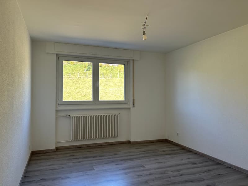 Appartement rénové de 3.5 pièces avec vue et balcons (6)