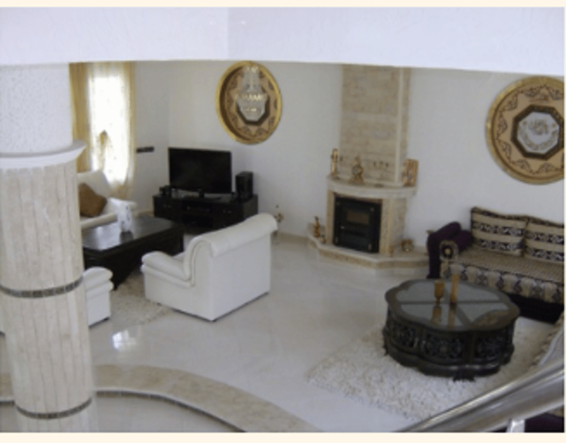 white room, fireplace, beige carpet, large windows, sofa, table, television