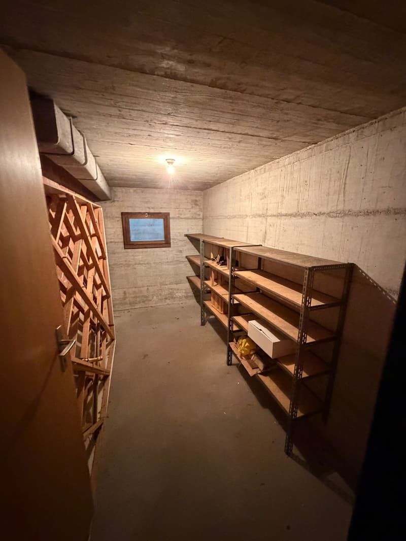Villa moderna di 4,5 locali con garage e terrazze a Delémont (16)