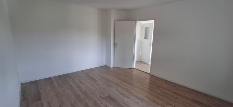 empty room with white walls, wooden floor, an entrance door to another room
