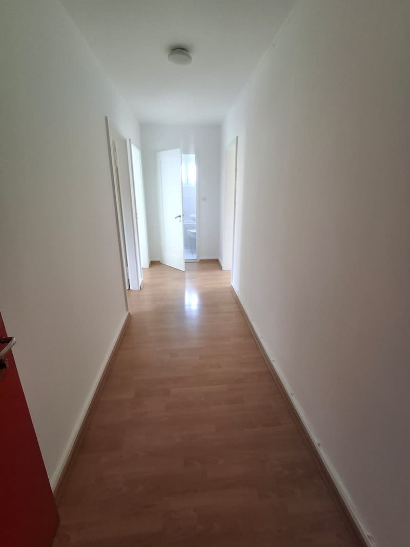 Appartamento di due e mezzo locali in affitto a Delémont (6)