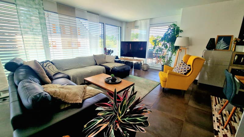 Zu vermieten – Prächtige Wohnung hocher Standard (26)
