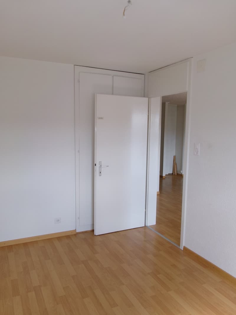 Charmant appartement de 4.5 pièces à La Chaux-de-Fonds (5)