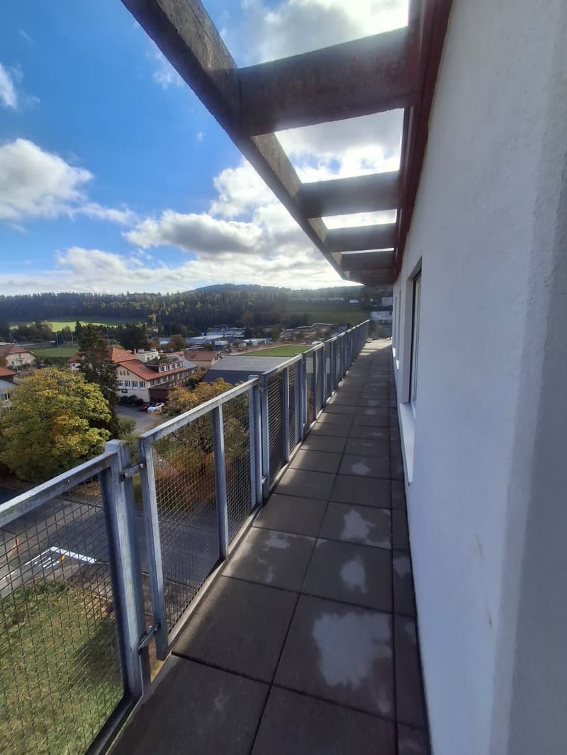 Magnifique appartement en attique de 4.5 pièces avec vue panoramique – La Chaux-de-Fonds (16)
