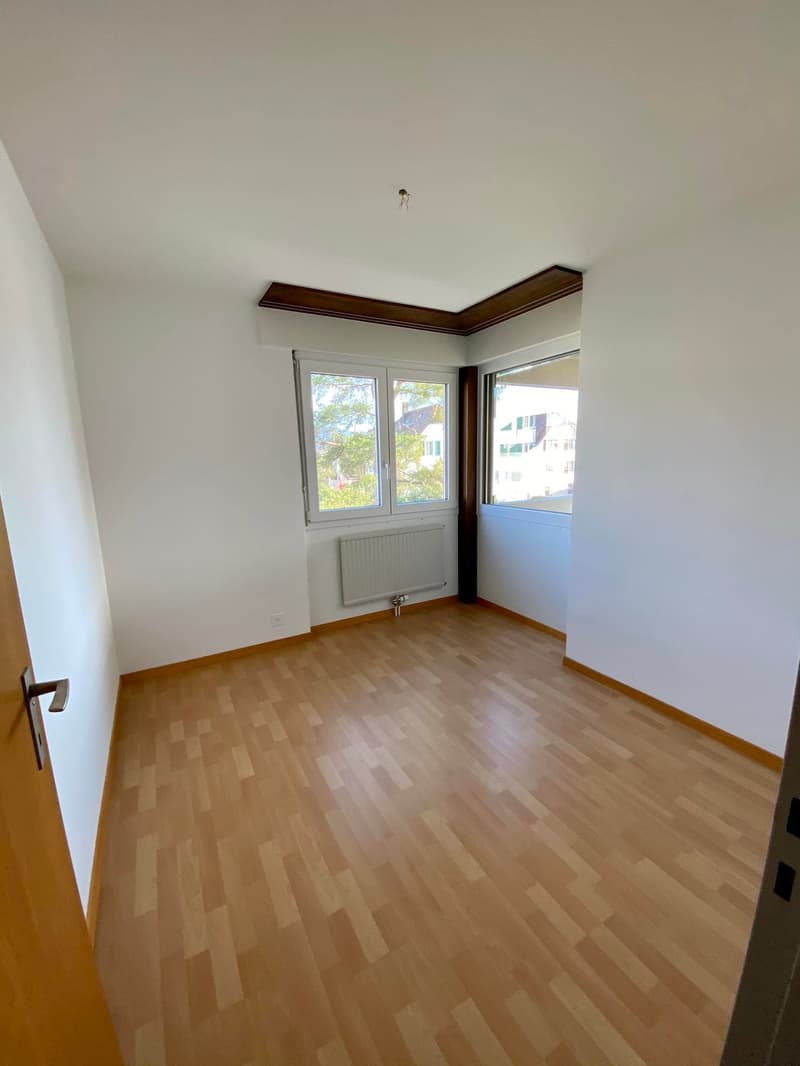 Appartamento luminoso di 4.5 locali con terrazza e esterni (6)