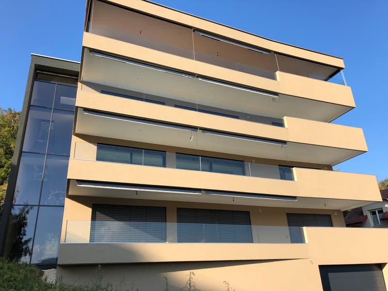 Spacieux et lumineux appartement de 5.5 pièces à Porrentruy (14)