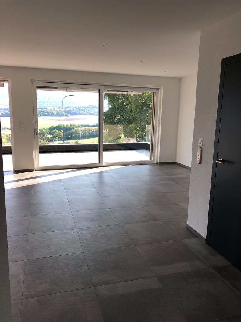 Spacieux et lumineux appartement de 5.5 pièces à Porrentruy (13)