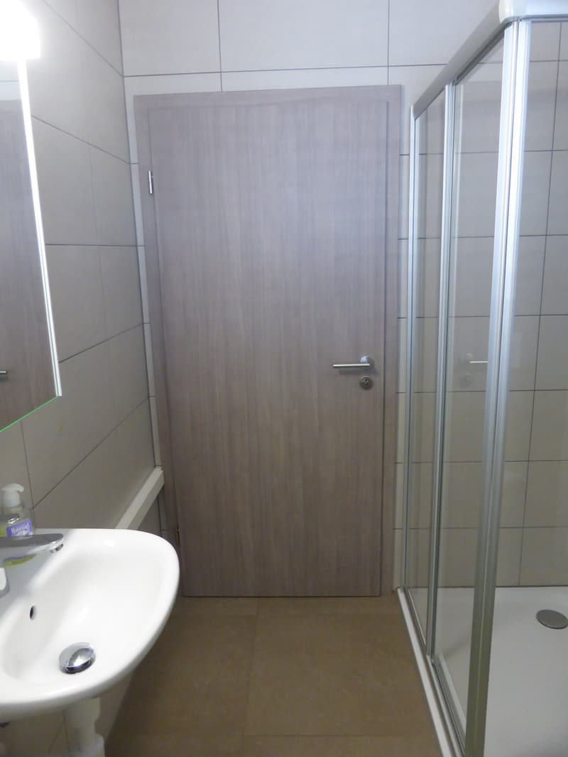 Magnifique appartement attique de 5 pièces à Delémont (10)