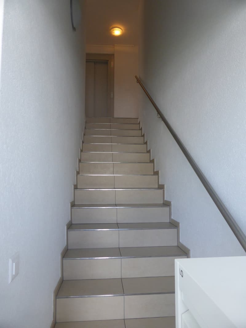Magnifique appartement attique de 5 pièces à Delémont (19)