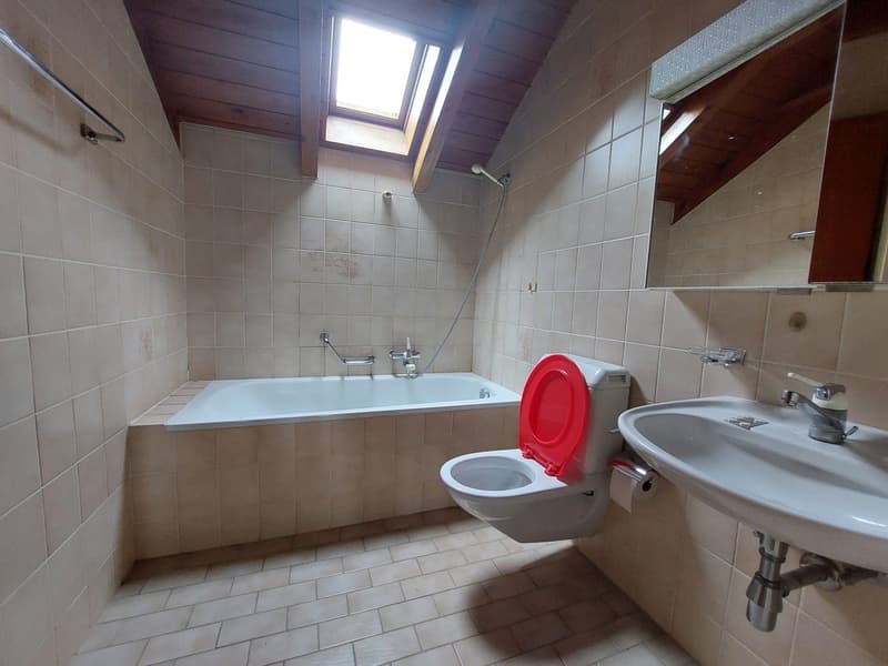 For sale: Rental property in Bassins (6)
