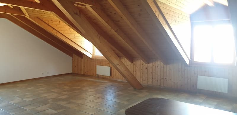 For sale: Rental property in Bassins (10)