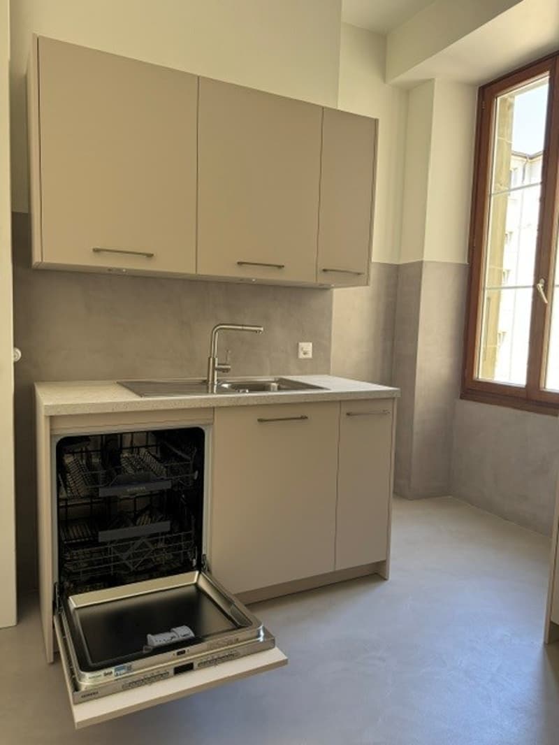 Charmantes 5-Zimmer-Wohnung im Herzen von Lausanne renoviert (10)