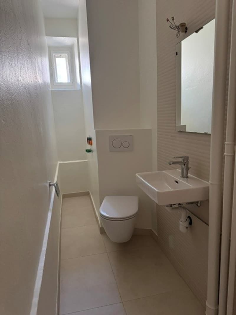 Charmantes 5-Zimmer-Wohnung im Herzen von Lausanne renoviert (15)