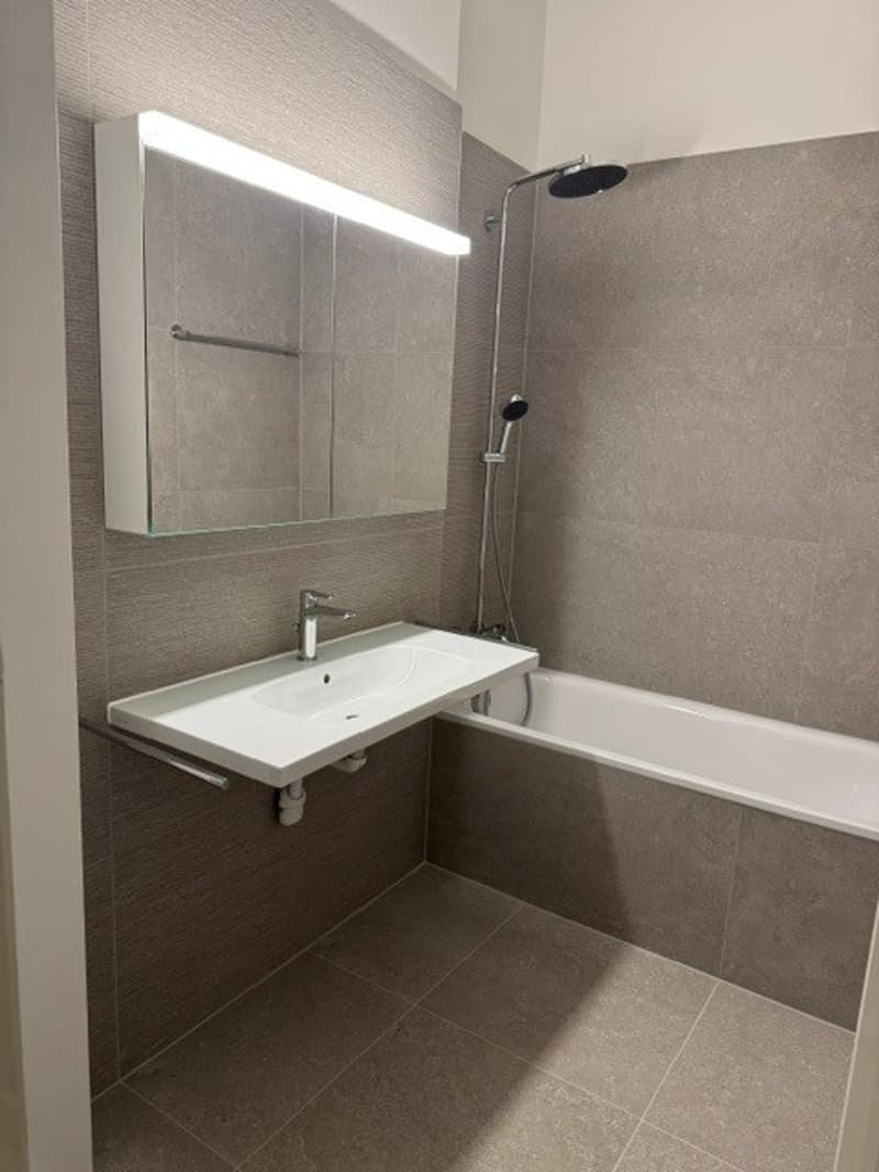 Charmantes 5-Zimmer-Wohnung im Herzen von Lausanne renoviert (13)