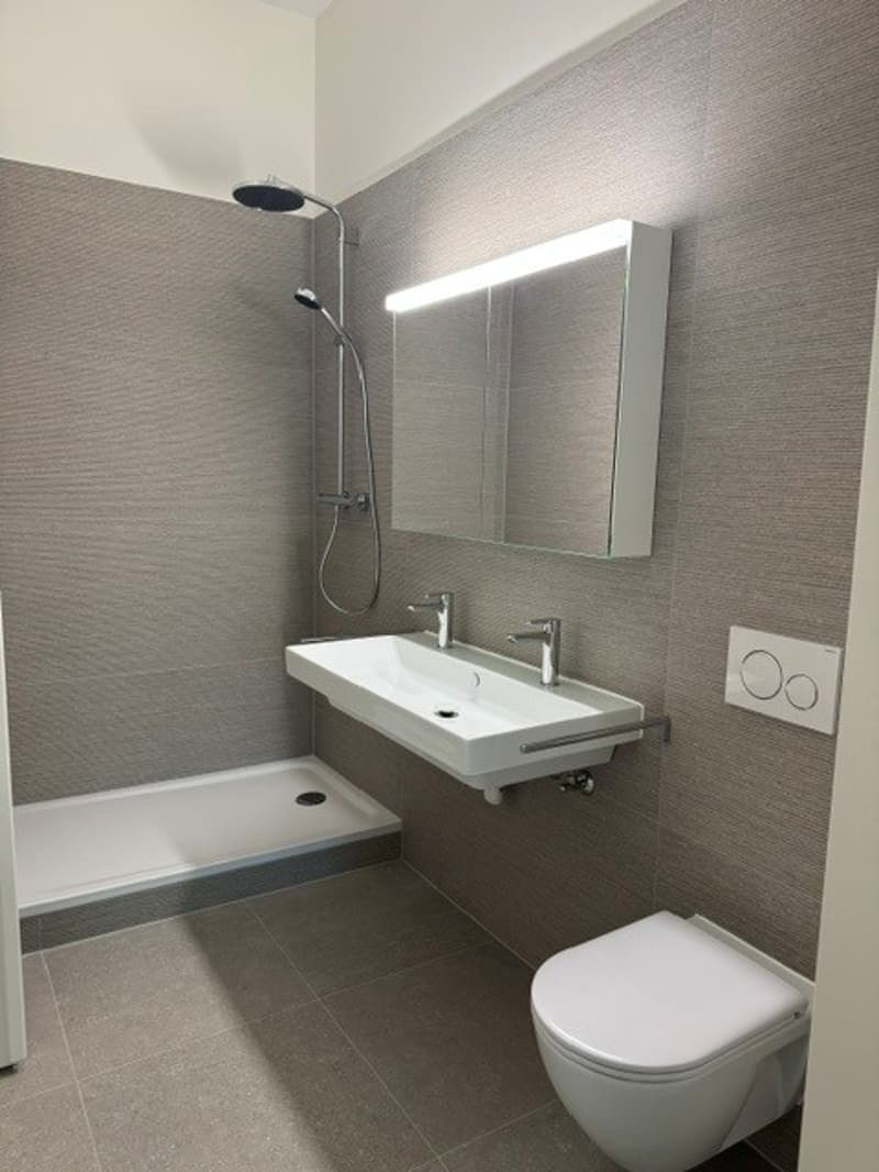 Charmantes 5-Zimmer-Wohnung im Herzen von Lausanne renoviert (14)