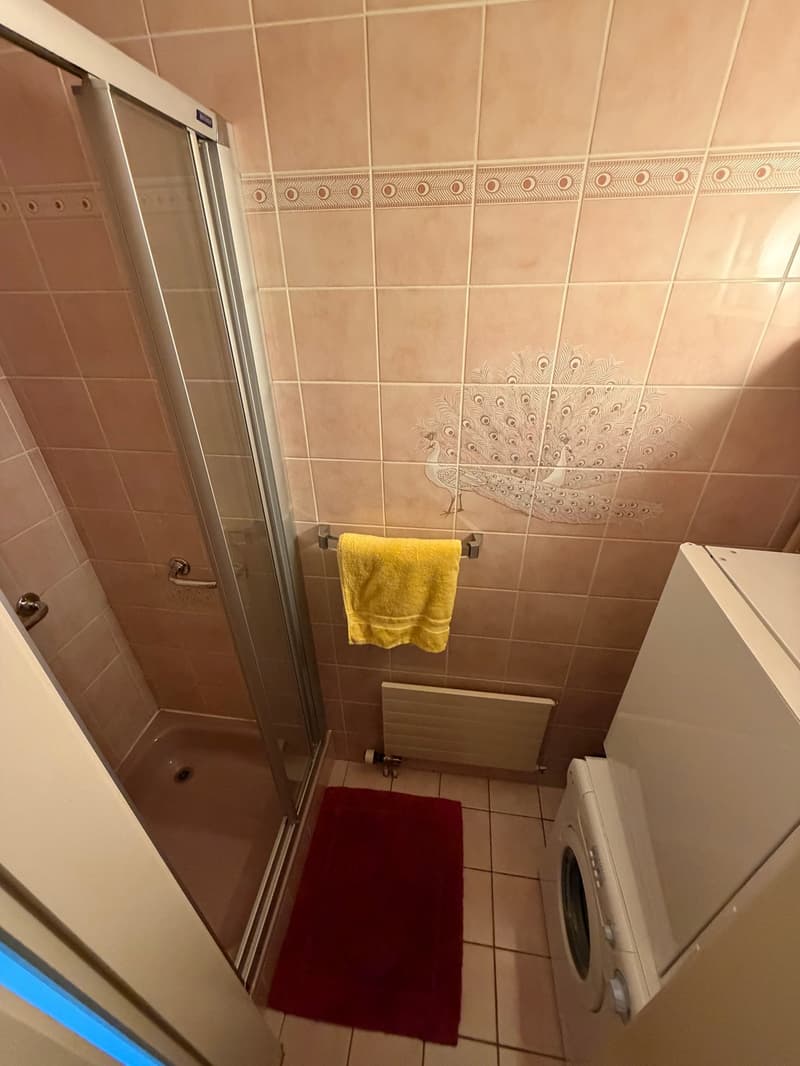 Charmantes 3.5-Zimmer-Wohnung in Préverenges (3)