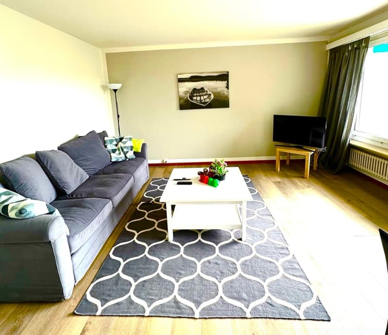 Chambre simple calme dans un appartement d'affaires partagé avec une grande terrasse et vue (13)