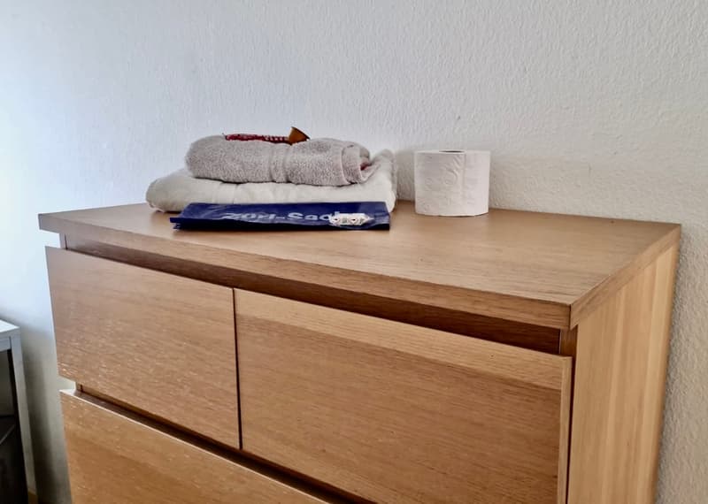 Chambre simple calme dans un appartement d'affaires partagé avec une grande terrasse et vue (11)