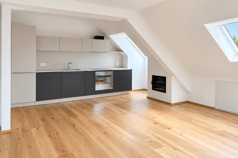 Moderne 3-Zimmer-Maisonette-Wohnung in Zürich Enge (1)
