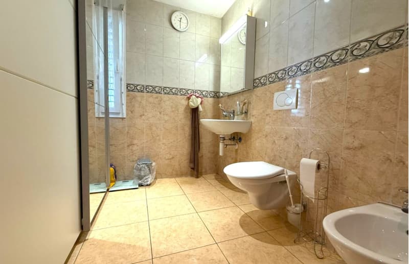 Detached 7.5-room house with plenty of light in Biberist (4)