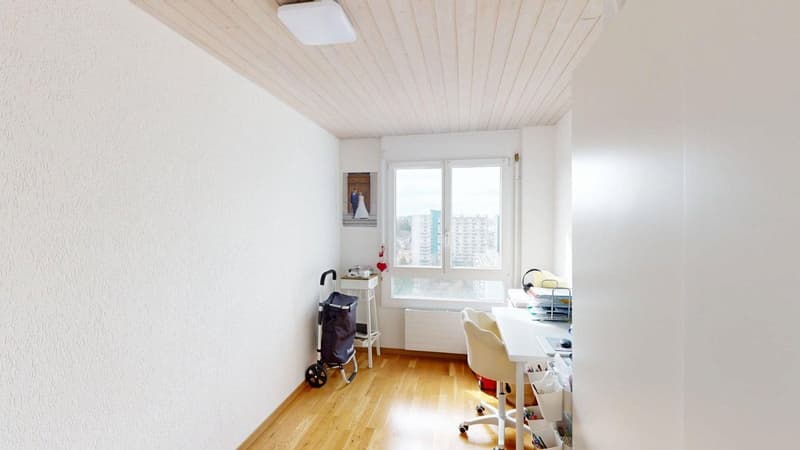 Rêve d'attique 5.5 pièces à Berne (8)