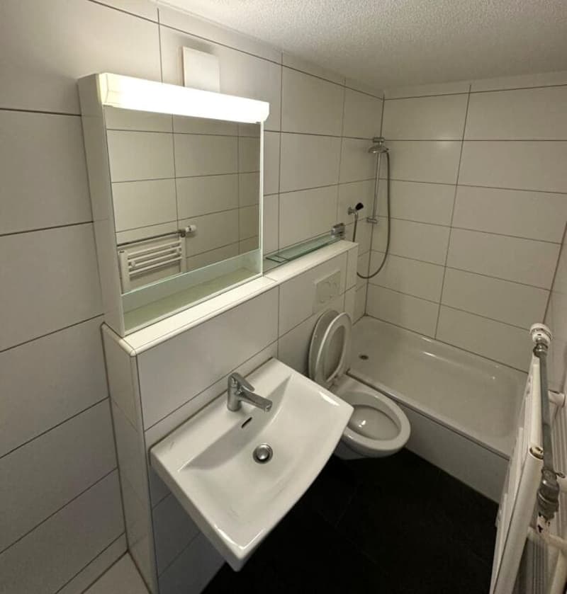 Apartment building with 10 apartments + commercial space, completely renovated, centrally located in Biel (9)