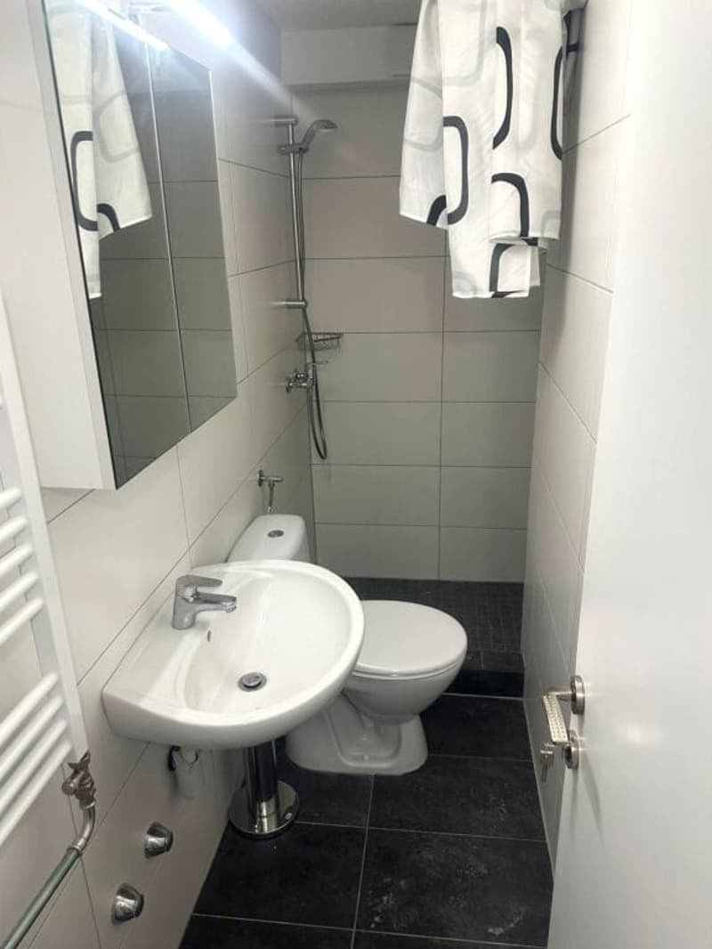 Apartment building with 10 apartments + commercial space, completely renovated, centrally located in Biel (8)