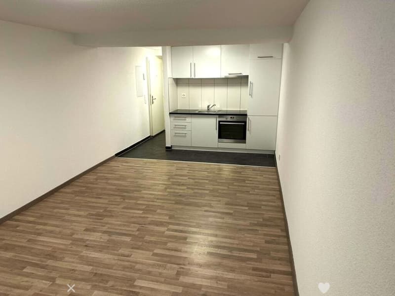 MFH mit 10 Whg + Gewerbe, totalsaniert, zentral in Biel (6)