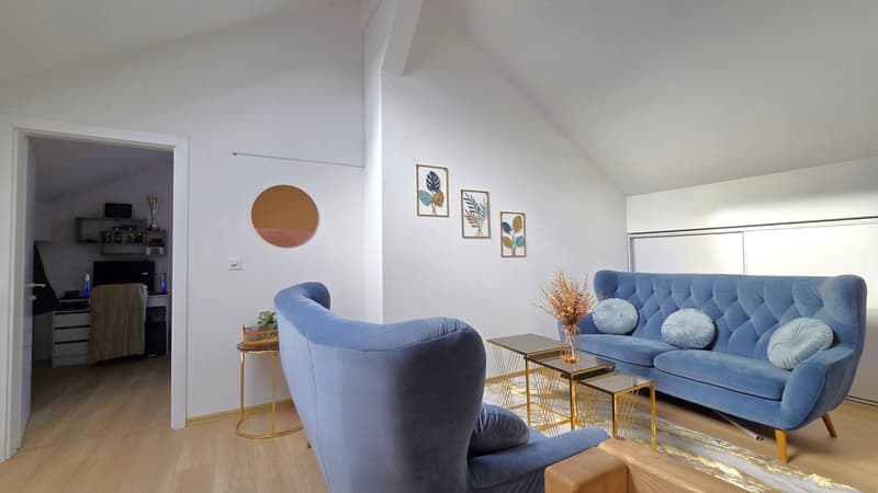 2 MFHs with 10 units in Lengnau BE with 4.76 % gross return (3)