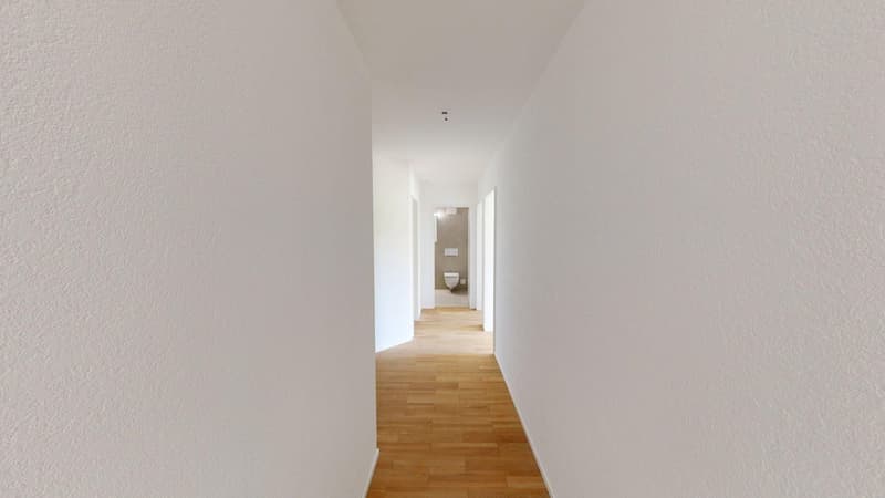 Appartement de 3,5 pièces rénové à Ins avec cuisine et armoires encastrées librement choisies (8)