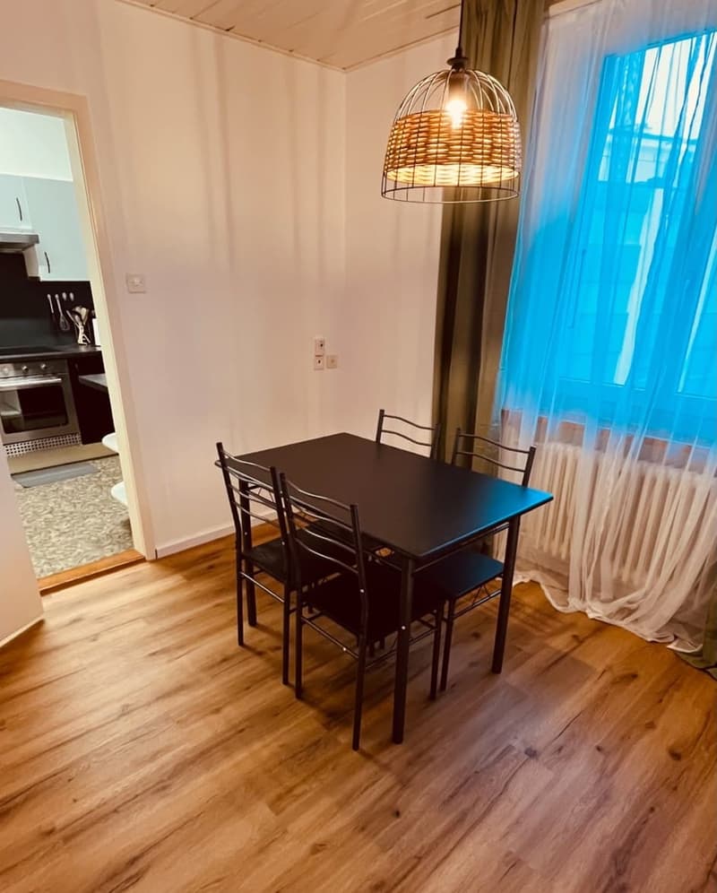 Appartement meublé de 2,5 pièces au cœur de Thun (7)