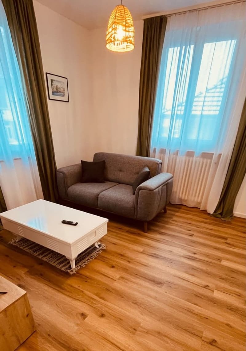 Möblierte 2.5-Zimmer Wohnung im Herzen von Thun (4)
